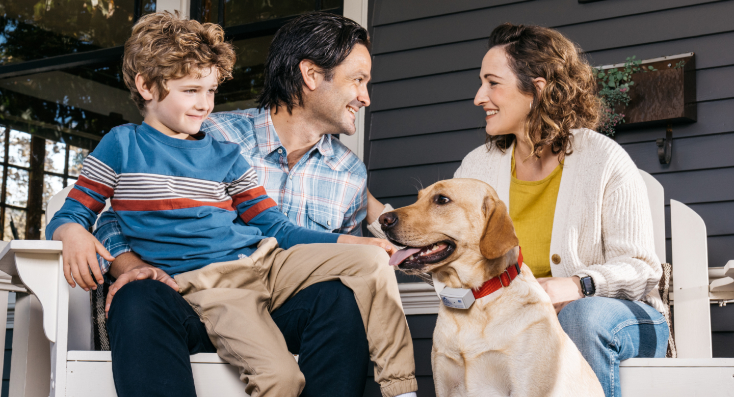 Dog Guard OutofSight Dog Fencing Electronic Dog Fences